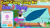 Play Together | Sau 3 Ngày Đi Câu Thì Cuối Cùng Mạnh Cũng Đã Câu Thành Công Kỳ Nhông Axololt