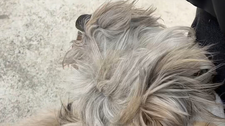 Seems casual, but it was all premeditated.