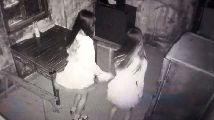 Không đùa đâu, có hai con succubi.