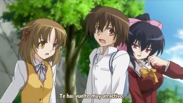 Ketika MC ini harus di kawal setiap saat sama siluman cantik yang setia!! - Anime omamori Himari