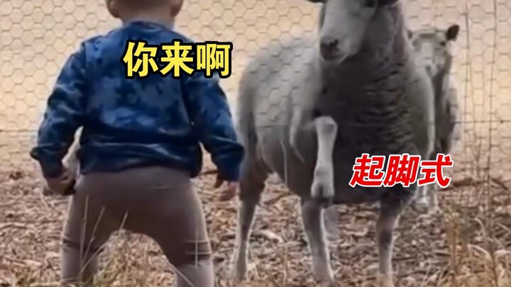 Face-off with 🐑d... | Twins mimic Dad getting drunk 🍺 | “I’m Dad!” 🤣 | When the daughter wants to we