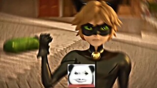 "But Cucumber Brother is really happy"