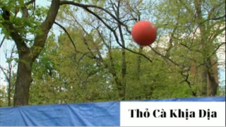 Funny prank 42 #thobiettroll