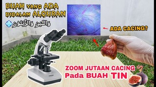 BUAH TIN atau ARA, Ada Sumpah ALLAH swt didalam Buah Ini