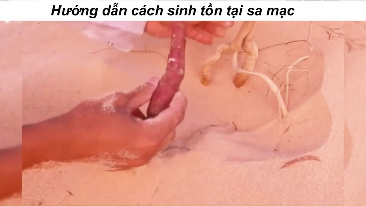 Cách sinh tồn tại sa mạc #haihuoc