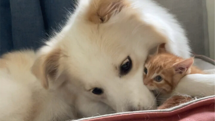 Semoga semua keinginan kalian terwujud!