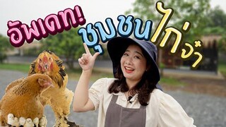 อัพเดท! ชุมชนไก่จ๋า EP.251