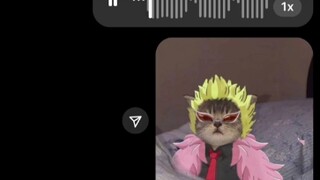 Ketika kamu membuka One Piece dengan nada imut ala kucing