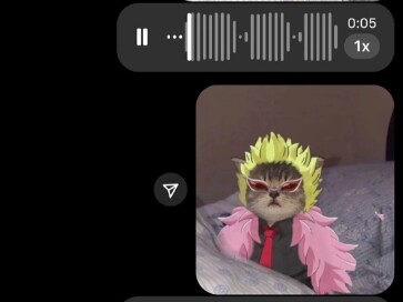 Khi bạn dùng giọng điệu "meo meo" để mở Vua Hải Tặc