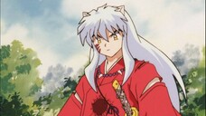 Inuyasha - Episode 20 | Subtitle Indonesia