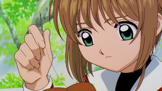 Thủ lĩnh thẻ bài tập 51