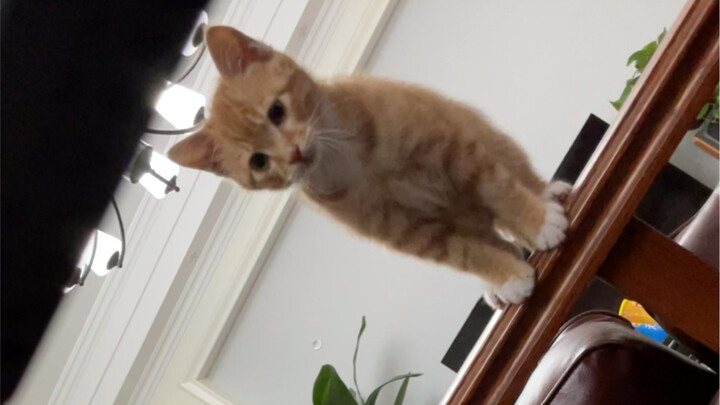 โดร่าติดคนมากจริงๆ!