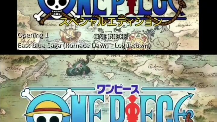 onepiece 1/1000