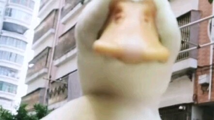 Duck Duck is inviting you to a video call.