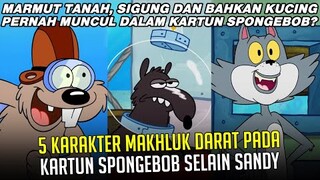 5 Karakter Makhluk Darat pada kartun SpongeBob selain Sandy | #spongebobpedia - 65