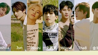 [SEVENTEEN] Phân phối lời bài hát của các thành viên Kidult (phụ đề tiếng Trung và tiếng Hàn)