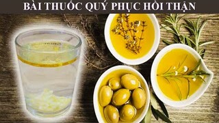 BÀI THUỐC QUÝ PHỤC HỒI THẬN - SUY THẬN MẠN - VIÊM CẦU THẬN - THẬN HƯ