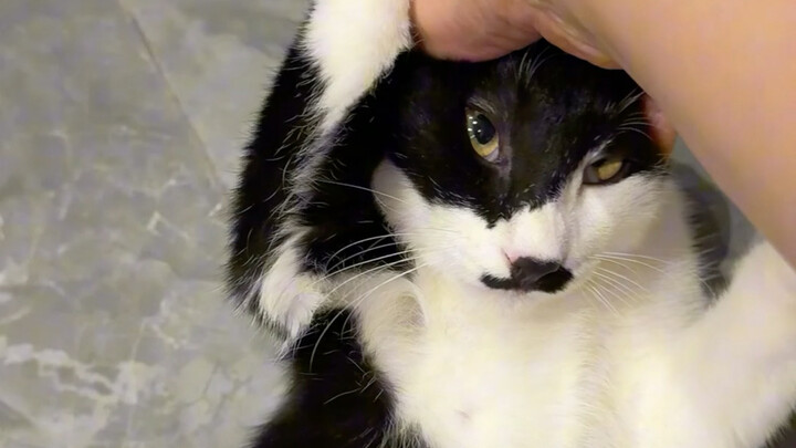 This state of hers/it feels so unfamiliar to me!