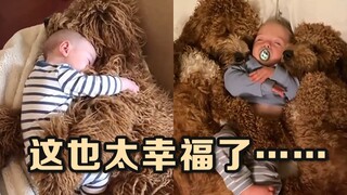 被大狗狗守护着睡觉是什么感觉？这画面太治愈了