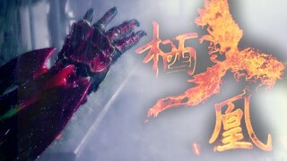 【MAD/CP向】栖凰｜却无人共看这人间多荒唐——假面骑士OOO