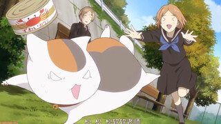 【夏目友人帐】来自多轨那令猫窒息的爱.......