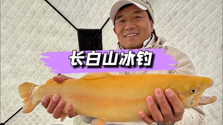 Experiencing ice fishing on Changbai Mountain, I unexpectedly caught a golden trout.