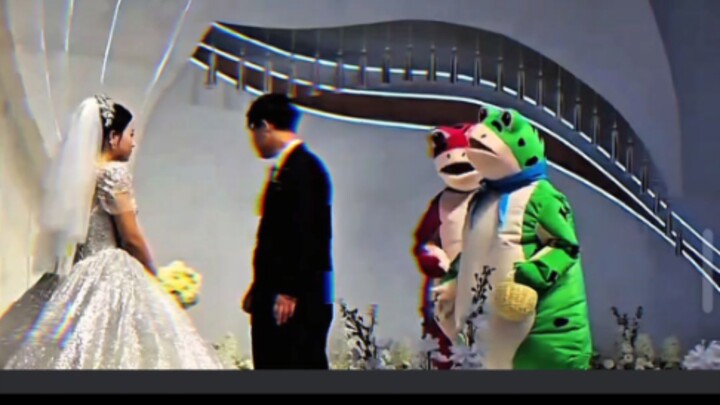 Lần đầu tiên thấy sự kinh ngạc trên khuôn mặt chú ếch