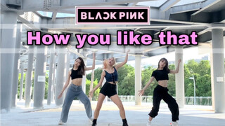 How you like that三人绝美全曲翻跳｜blackpink｜cover by 牛腩热带团队
