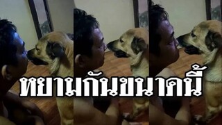 รวมคลิปตลกๆ : นี่ตรูเป็นเจ้าของนะไอ้สมหมา!!