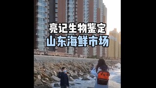 【亮记生物鉴定】山东龙口的海鲜市场