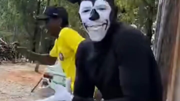 เห็ดแรงบันดาลใจทีวี