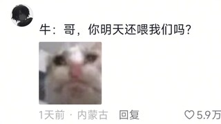 牛：没事吧哥，刚才闹着玩的