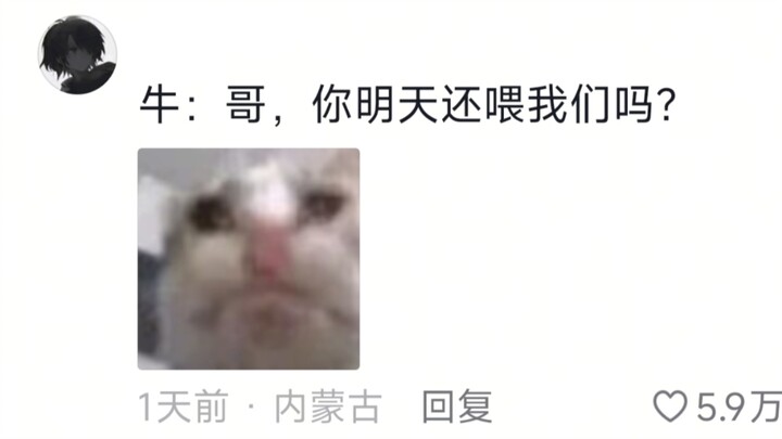 牛：没事吧哥，刚才闹着玩的