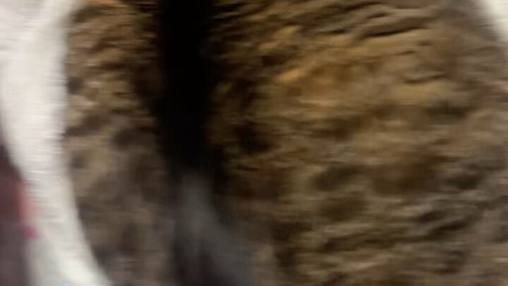 ลุกขึ้นมาฉันจะเปลี่ยนผ้าปูที่นอนแล้ว