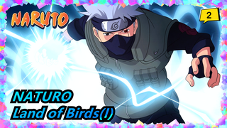 NATURO|[Kakashi]Land of Birds(I)Accepting the commission of spirit removal_2