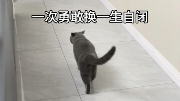 It’s Chinese New Year… I totally embarrassed the cat in front of the relatives—so awkward!