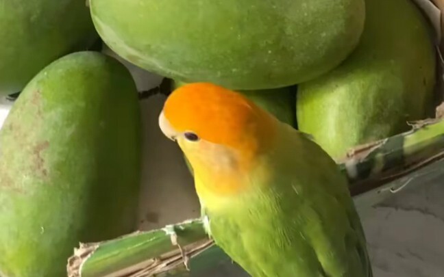 ผสมเข้าไปในนั้น