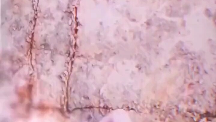 Anak-anak kelahiran 80-an dan 90-an, jangan nangis setelah nonton!