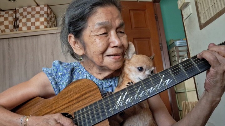 ร้องเพลงอีก 500 ไมล์ ผมของฉันเกือบจะหงอกแล้ว คุณย่าและหมาอวยพรให้เด็กๆ มีวันหยุดฤดูร้อนที่สุขสันต์