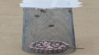 What will happen if you put more than 200 rotating fireworks and "Xiaoqiang" in the iron cage and ig
