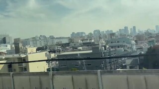 251 _ Kết Thúc 3 Năm Xuất Khẩu Lao Động Nhật Bản _ Ngày Cuối Cùng