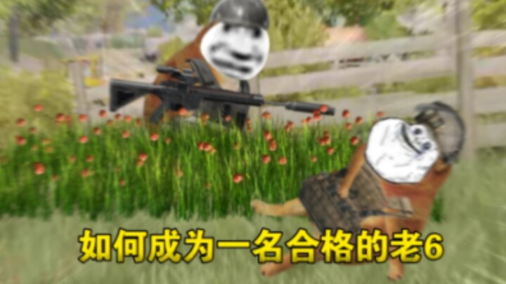 ‘Dark Area Breakthrough’ ทำอย่างไรจึงจะกลายเป็น ‘Old 6’ ที่มีคุณสมบัติครบถ้วน