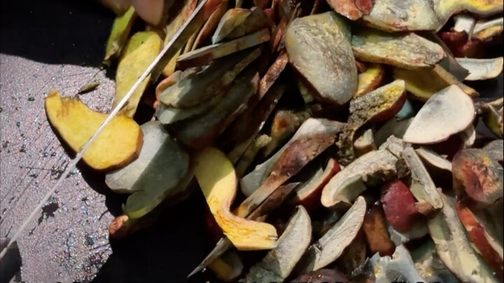 Stir-fried Amanita with Pufferfish