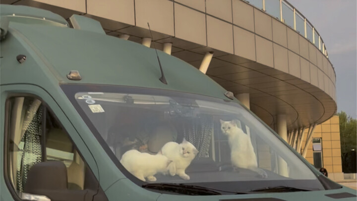 When the RV hits traffic, there’s a cat to cuddle, food and drinks—still stuck in the very first, ob