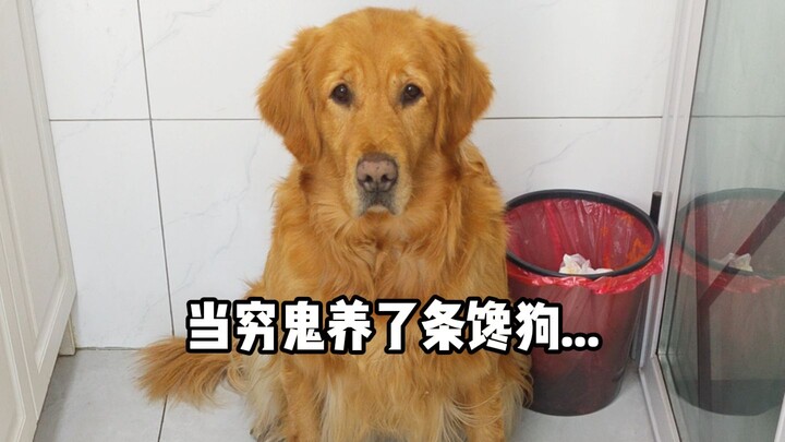 جمعتها لمدة ثلاثة أشهر كاملة