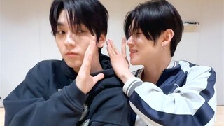 太好了LL有适合我的手势舞版！崔秀彬&崔然竣What’s your love language? (Easy ver.)