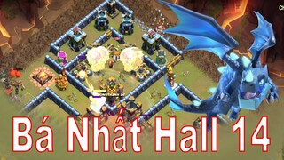 Top 4 Combo Đang Chơi Nhất Trên Hall 14 | NMT Gaming