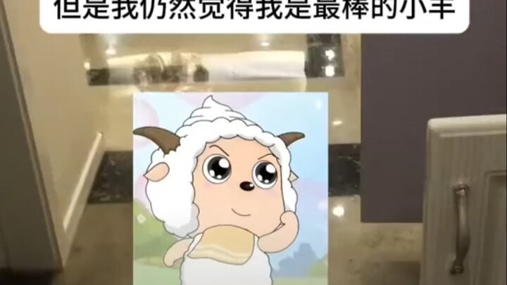 The Coolest Little Sheep