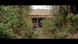 kung fu master(action,comedy)