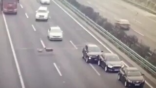 Three sheep cost four lives